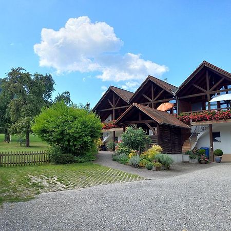 Ferienwohnungen Gabi Hermann Bodman-Ludwigshafen Εξωτερικό φωτογραφία